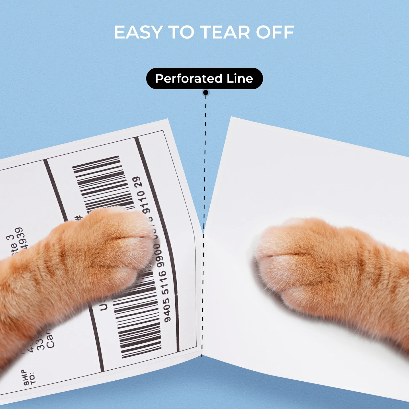 4" x 6" Shiping Labels - Image 7